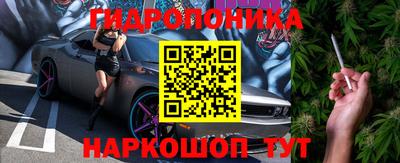 шишки Моздок